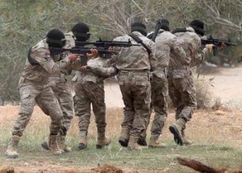 الأمم المتحدة لا ترى أي تقدم في ملف المرتزقة بليبيا