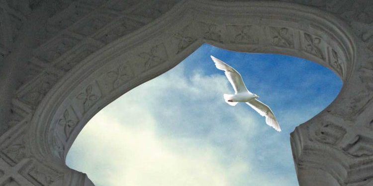 الروح وميلاد الحضارة