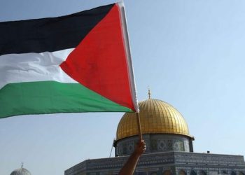 القضية الفلسطينية نحو وعي عالمي أكثر عدالة