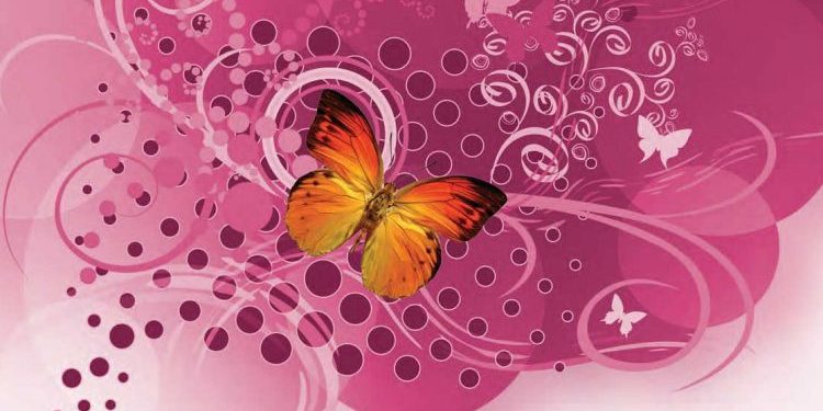 بالقرآن تسعد القلوب وتأنس النفوس