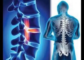 الهيكل العظمي يتكلم