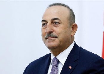 تركيا: الشعب الفلسطيني لا يزال يتعرّض للتطهير العرقي