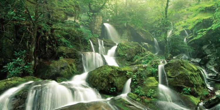 مفهوم الحياة في القرآن الكريم