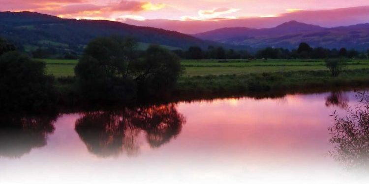 شمس القلوب أبداً لا تغيب