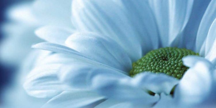 العلم والإيمان متعة العقل والروح