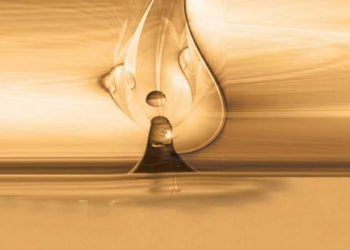 القرآن العظيم وقضية الأمة