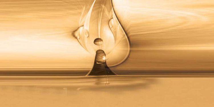 القرآن العظيم وقضية الأمة