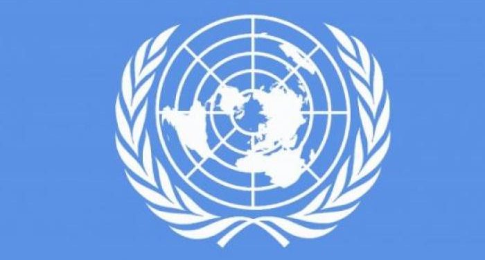 مقررة أممية: الحقوقيون في تركيا يتعرضون للترهيب