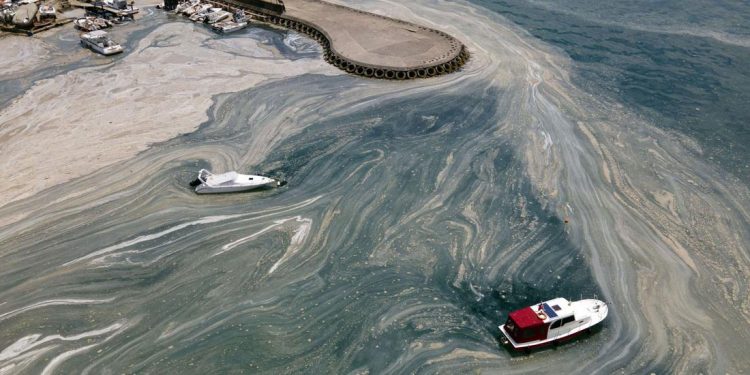 بحر مرمرة يحتضر بسبب سياسات حكومة أردوغان