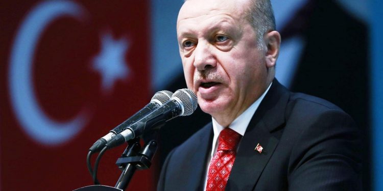 أردوغان يتحدث عن فرص كبيرة للتعاون مع مصر