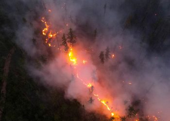 ارتفاع عدد ضحايا حرائق الغابات في تركيا إلى 4 أشخاص