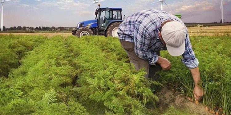 زيادة تكلفة الأسمدة بنسبة 45% في تركيا