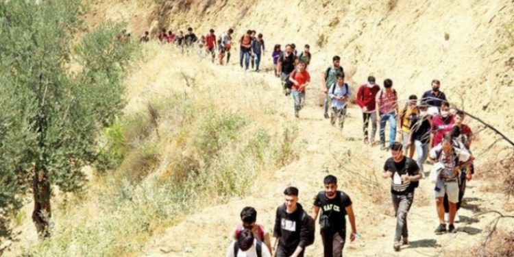 برلماني تركي: تركيا على أعتاب استقبال 6.5 مليون لاجئ أفغاني