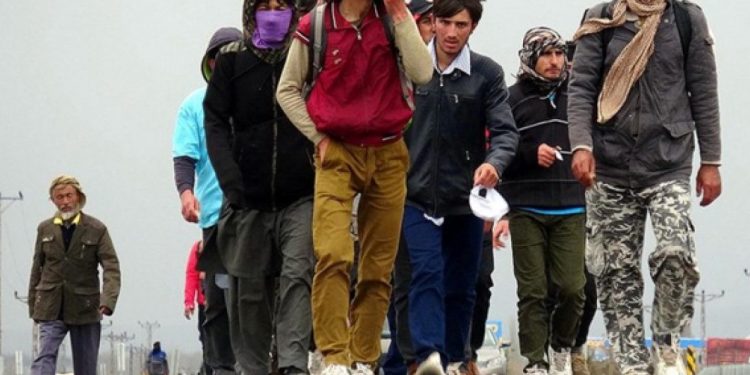 توسع سيطرة طالبان يرفع عدد الأفغان المهاجرين إلى تركيا