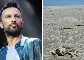 نجم البوب التركي يندد بمذبخة الفلامينجو