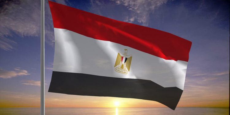 المنظمات الحقوقية المصرية في الإعلام الدولي