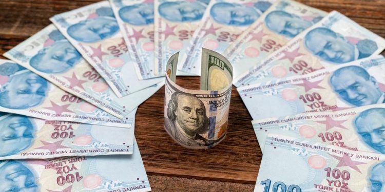 مؤشر بيج ماك: انخفاض الليرة التركية أمام الدولار بلغ 58.7٪