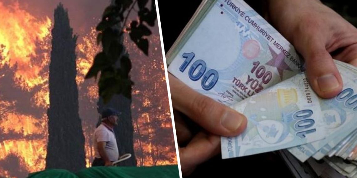 تركيا: أين ذهبت 193 مليون ليرة مخصصة لحرائق الغابات؟