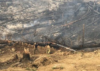 ارتفاع المساحات المحترقة في تركيا 8 أضعاف