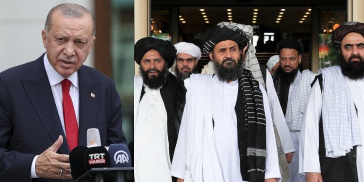 أردوغان: زملاؤنا التقوا مع طالبان لمدة 3.5 ساعات