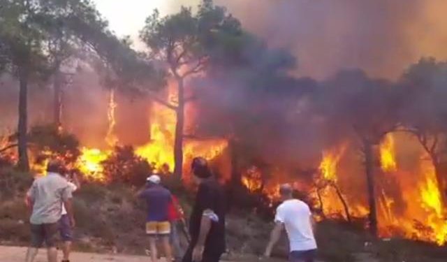 حريق غابات بجزيرة هايبليادا في تركيا