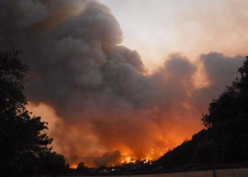 تركيا.. عمدة بلدية: النيران تتوسع في موغلا “عار عليكم.. أكاد أبكي”