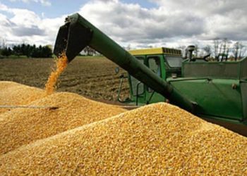 ارتفاع واردات تركيا الزراعية من روسيا 17%