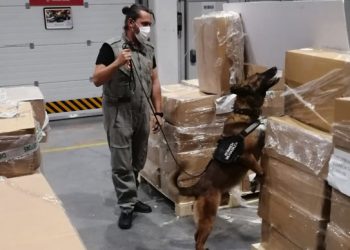 تركيا.. ضبط 4 أطنان من المخدرات في مطار إسطنبول