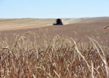 صفعة للمزارعين في تركيا بقرار رئاسي