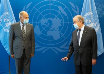 القضية الفلسطينية على طاولة الحوار بين أبو الغيط وجوتيريش