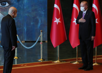 كاتب: حكومة أردوغان لا تملك الشجاعة لتنفيذ كامل مخططاتها