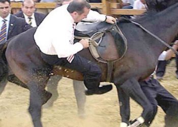 مجلة أمريكية: الاقتصاد التركي يقوده راعي بقر مخمور!