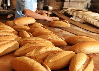 تركيا.. ارتفاع سعر الخبز في مرسين لمواجهة تكاليف الإنتاج المرتفعة
