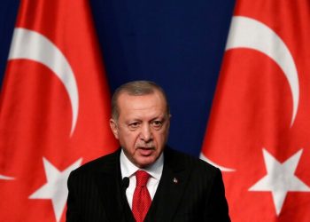 أردوغان يكشف عن حجم استثمارات تركيا في القارة الإفريقية