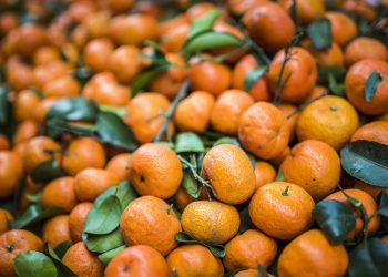 هل تعاقب روسيا تركيا بحظر استيراد اليوسفي؟