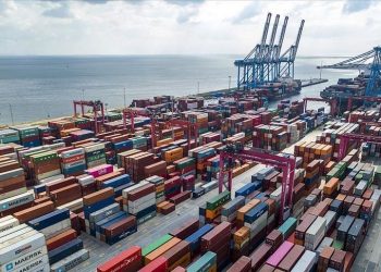 صادرات تركيا الغذائية إلى أوروبا تحتوي مبيدات محظورة!