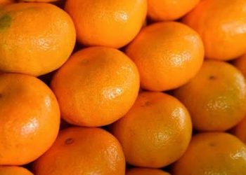 أوروبا ترفض شحنات فاكهة تركية بسبب مبيدات ضارة