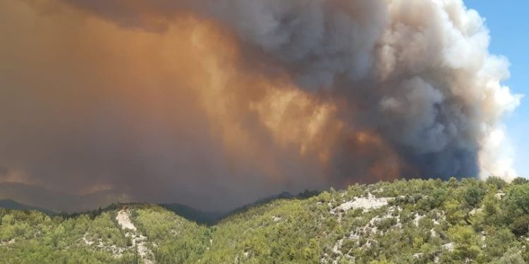 اندلاع حريق ضخم في غابات أنطاليا