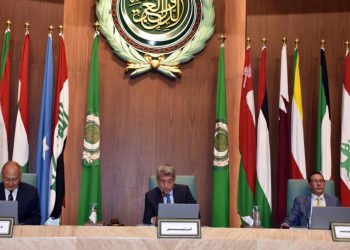 أبو الغيط يدعو لتكاتف عربي لحل أزمة المياه بالمنطقة العربية