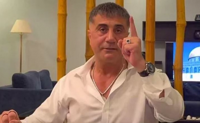 صحفي تركي: زعيم المافيا سادات بكر سيكشف أسرارًا جديدة