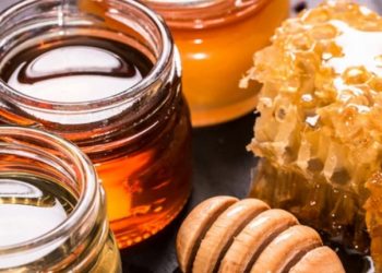 ارتفاع أسعار العسل في تركيا
