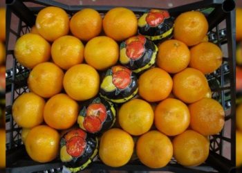 روسيا تحظر استيراد 6 منتجات من تركيا