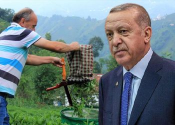 أهالي مسقط رأس أردوغان: سنصوت لمن ينقذنا من هذه الحكومة