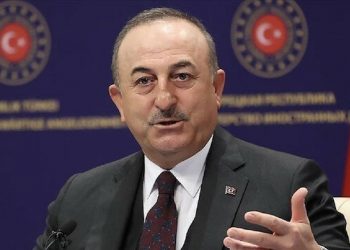 تشاووش أوغلو: تلقينا مقترحًا إماراتيًّا لتوقيع اتفاقية للنقل البري