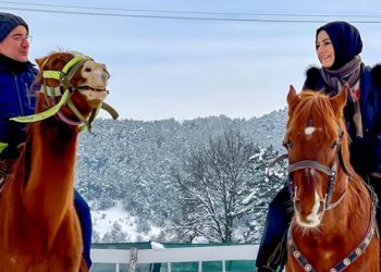 باباجان على ظهر حصان سخرية من ارتفاع سعر الوقود