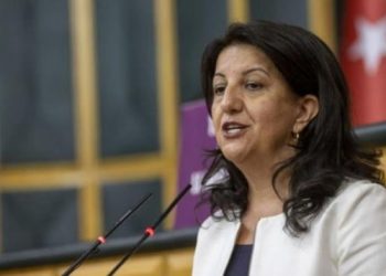 برفين بولدان: أردوغان ينتقم من خسارته بلدية إسطنبول