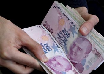 خبير اقتصادي: من يعتمدون على الليرة سيخسرون