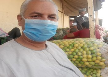 نصف ليمونة للمعاش