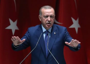 أردوغان يتحدث في مقال عن أهمية العلاقات مع الإمارات!