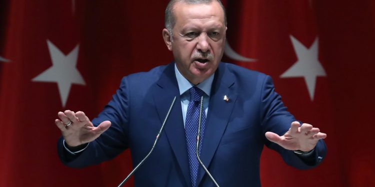 أردوغان يتحدث في مقال عن أهمية العلاقات مع الإمارات!